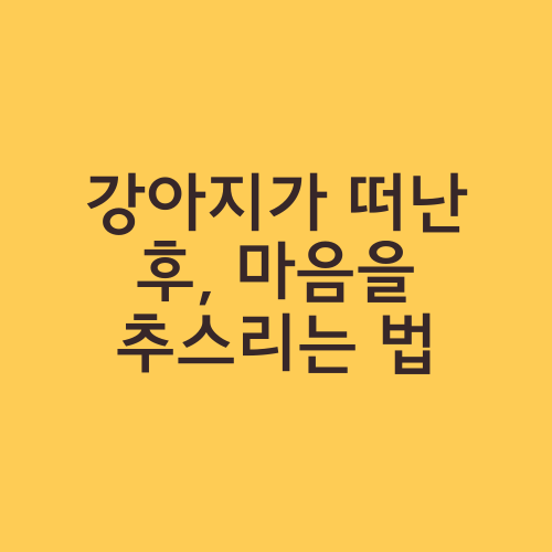 강아지가 떠난 후, 마음을 추스리는 법