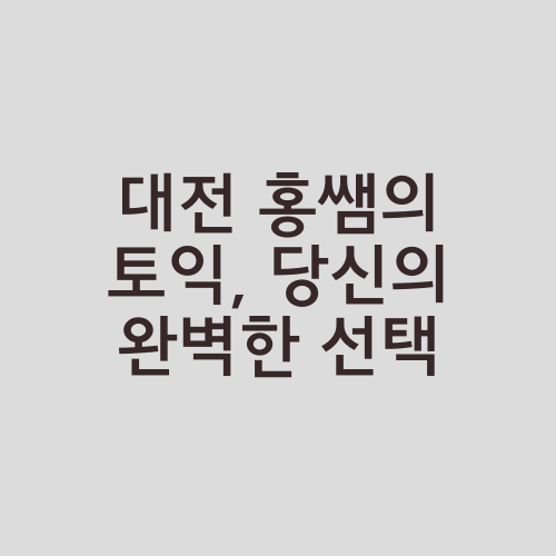 대전 홍쌤의 토익, 당신의 완벽한 선택