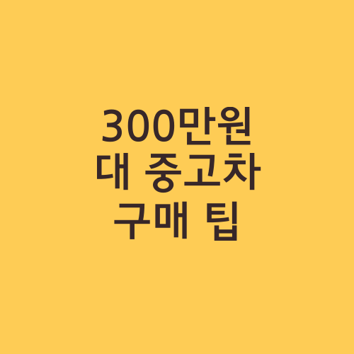 300만원대 중고차 구매 팁