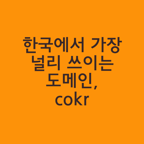 한국에서 가장 널리 쓰이는 도메인, cokr