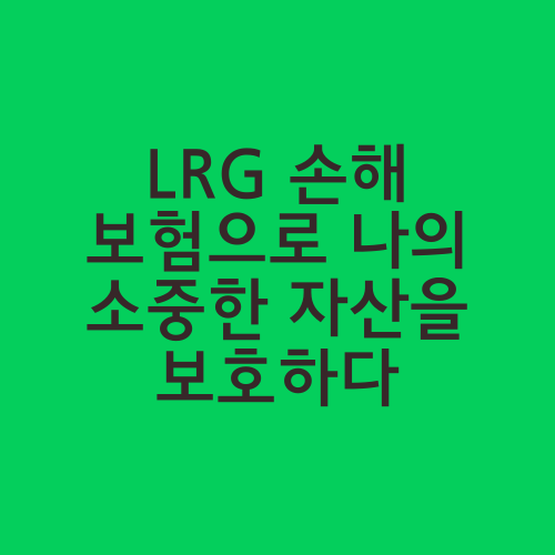 LRG 손해 보험으로 나의 소중한 자산을 보호하다