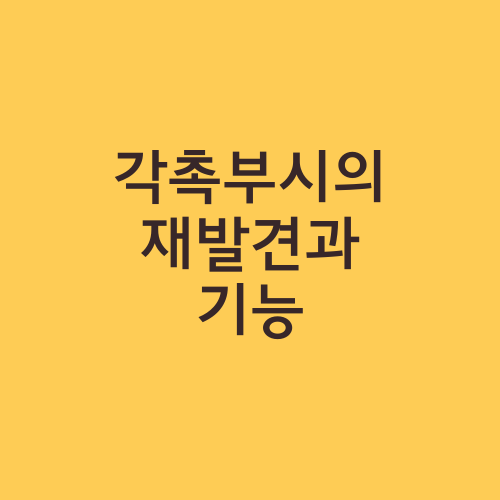 각촉부시의 재발견과 기능