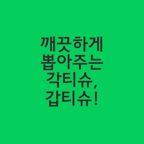 깨끗하게 뽑아주는 각티슈, 갑티슈!