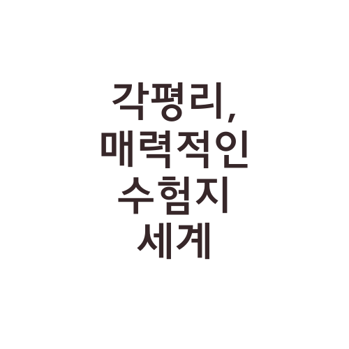 각평리, 매력적인 수험지 세계